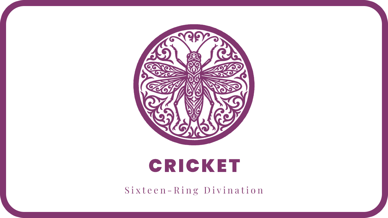CRICKET