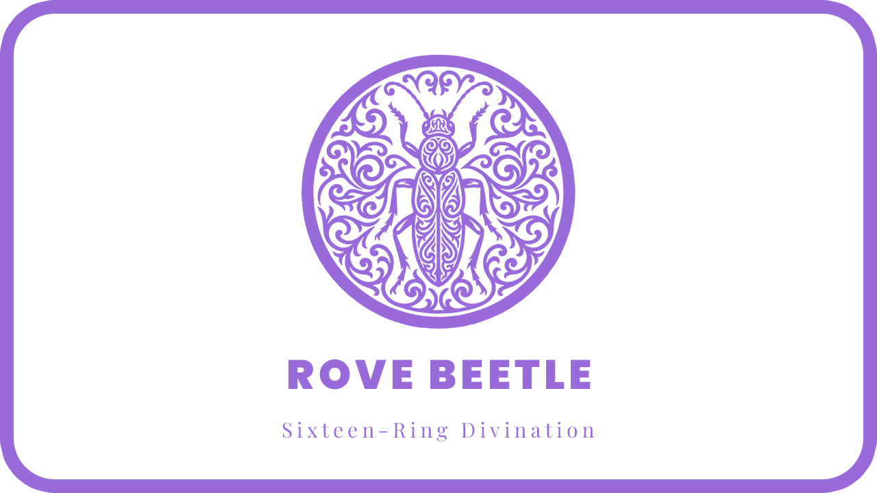 ROVE BEETLE