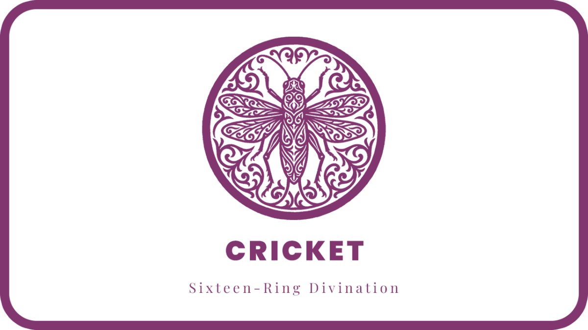 CRICKET Type: Basic Personality | Sixteen-Ring Divination