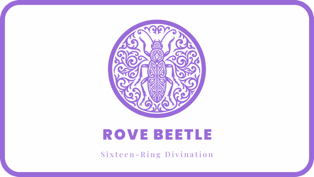 ROVE BEETLE Type: Basic Personality | Sixteen-Ring Divination