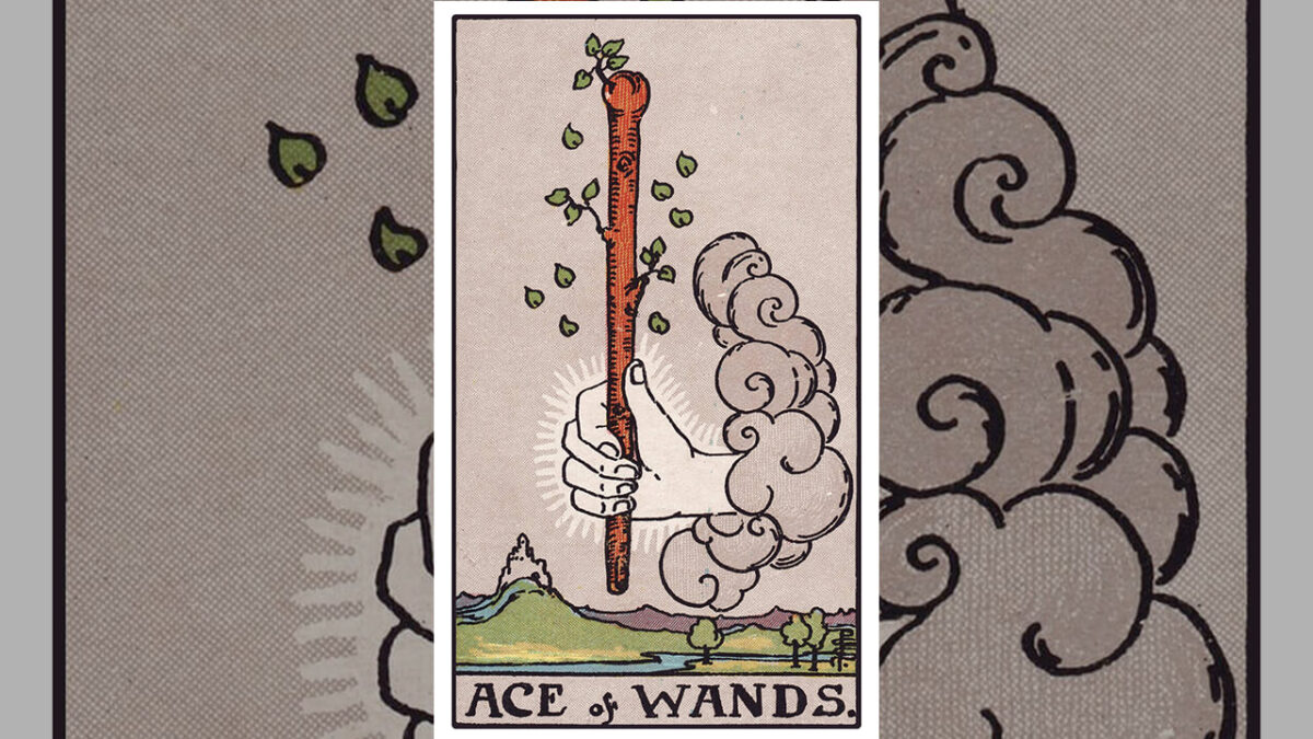 Ace of Wands Tarot Card Meaning: Upright, Reversed, Love & Career