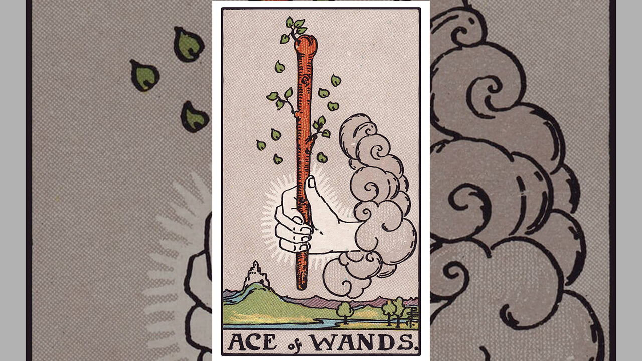 Ace of Wands Tarot Card Meaning: Upright, Reversed, Love & Career