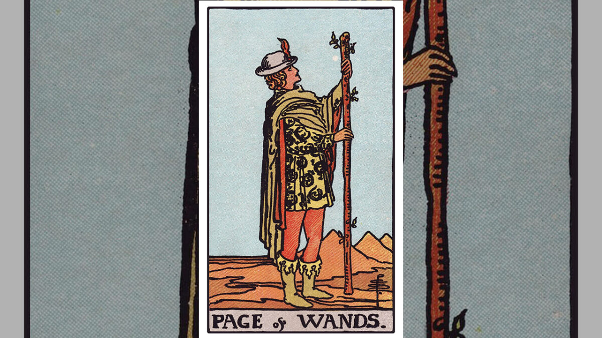 Page of Wands Tarot Card Meaning: Upright, Reversed, Love & Career