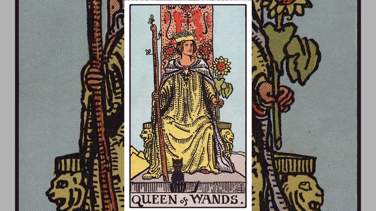 Queen of Wands Tarot Card Meaning: Upright, Reversed, Love & Career